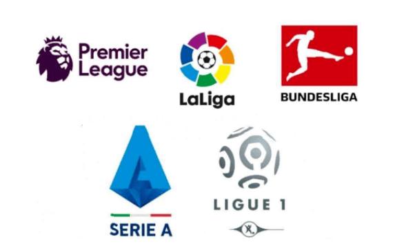 年最强的一 年最强的一